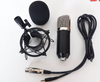 LAIKESI BM-800 192K ميكروفون أحادي الاتجاه بمكثف كهربائي للعيش
