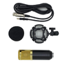ميكروفون مكثف أحادي الاتجاه LAIKESI BM-800 BM-100 BM-700 BM-900 للعيش